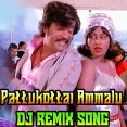 Pattukkottai Ammalu DJ Remix