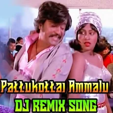 Pattukkottai Ammalu DJ Remix