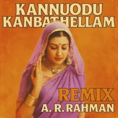 Kannodu Kanbathellam Remix