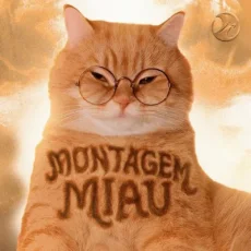 Montagem Miau