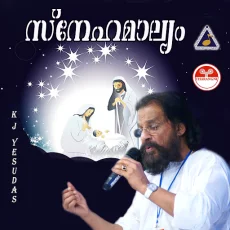 Ponnoliyil Kallara Minnunnu